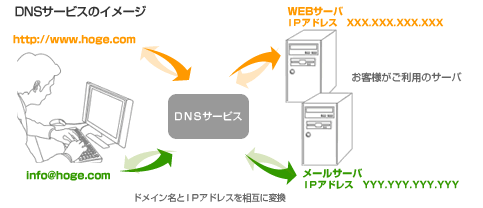 DNSӥΥ᡼